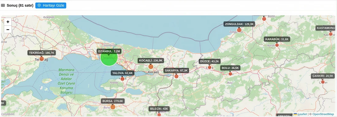 VendiSens AI — Marmara region store detail